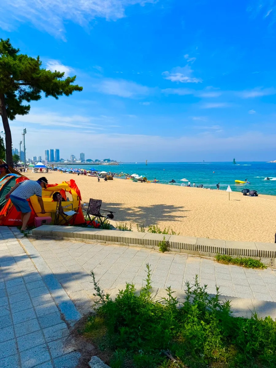 【2025年夏・現地レポ】チェジュ島並みに人気!束草海水浴場が想像以上に最高だった話