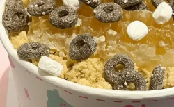 【韓国で爆売れ】ヨーグルトアイス「ヨアジョン」を現地デリバリー！日本では幻の味に？
