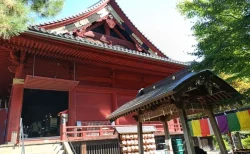 【上野の穴場】寛永寺・清水観音堂は東京の清水寺？歴史と見どころを体験レビュー