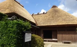 【2025年最新レポ】知覧武家屋敷を120%楽しむ！グルメと癒やしの猫旅ガイド