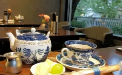 【実食レポ】早稲田の隠れ家カフェ「iro」メディアで話題の秘密とは！？