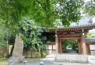 【高円寺探訪】駅名の由来になったお寺「高円寺」！徳川家光も愛した緑深きパワースポットへ
