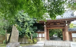 【高円寺探訪】駅名の由来になったお寺「高円寺」！徳川家光も愛した緑深きパワースポットへ