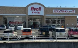 【アベイル笠岡店レポ】混雑状況とチラシ情報！しまむら併設の新店舗をレビュー