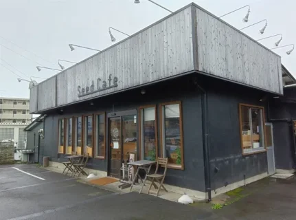 【富士宮カフェ探訪】体と心が喜ぶ！Seed Cafeのオーガニックランチを実食レビュー