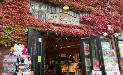 ワンコインでこの満足感！函館「テディベアミュージアム」のリアルな感想と楽しみ方