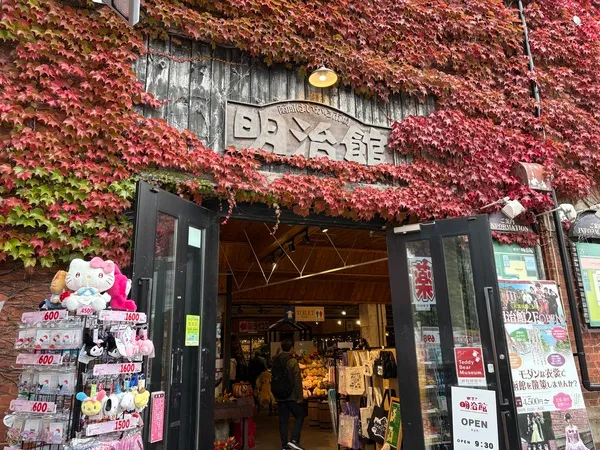 ワンコインでこの満足感!函館「テディベアミュージアム」のリアルな感想と楽しみ方