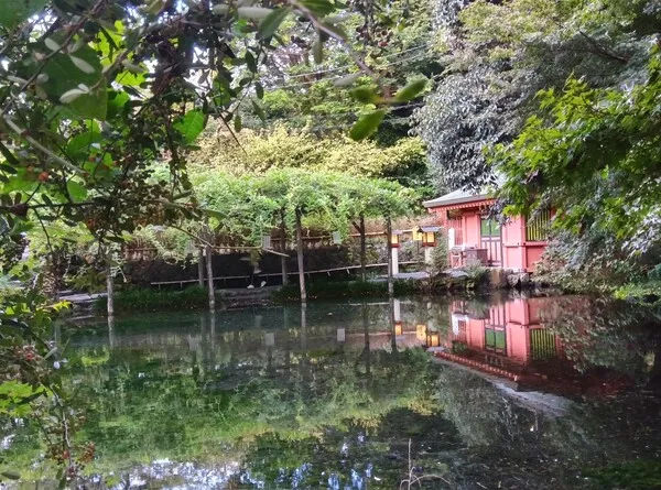 画像