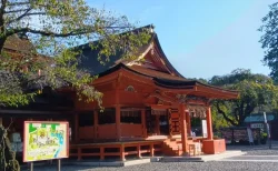 富士山だけじゃない！富士山本宮浅間大社で感じる「水」のパワーと癒し時間と魅力
