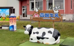 「函館牛乳 あいす118」体験レポ！絶景と濃厚ソフトに癒される！