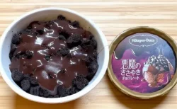 もう食べた？ハーゲンダッツ期間限定「悪魔のささやきチョコレート」の誘惑…甘さと塩味が絶妙すぎた