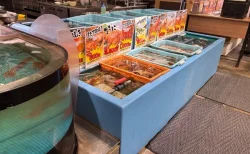 【函館】お土産もグルメもここで完結！「はこだて海鮮市場」を賢く楽しむ方法