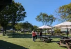 じゃらん道の駅グランプリ2025年1位！【川場田園プラザ】を4回リピした私が魅力と本音を徹底レビュー