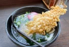 倉敷市真備町の豪雨災害から復活した【さるや】の絶品「海老天うどん」を実食！