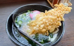 倉敷市真備町の豪雨災害から復活した【さるや】の絶品「海老天うどん」を実食！