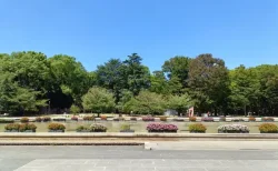 上野公園はパンダだけじゃない！歴史とアート、癒やしを巡る大人の散歩道