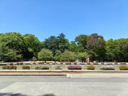 上野公園はパンダだけじゃない！歴史とアート、癒やしを巡る大人の散歩道