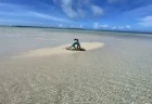宮古島に浮かぶ幻の浜「ユニの浜」カヌーツアーのリアルを徹底レビュー