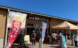 道の駅「笠岡ベイファーム」の絶景花畑とキッチンカー行列グルメを徹底レポ！