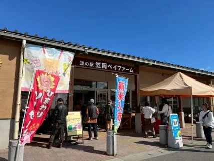 道の駅「笠岡ベイファーム」の絶景花畑とキッチンカー行列グルメを徹底レポ！