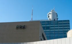 藤井風、紅白2025「出演見送り」の真相　理由は海外重視で方針転換か