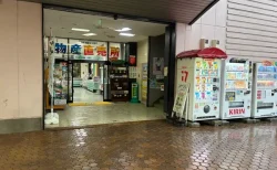 【体験レビュー】道の駅 YOU・遊・もりは“いかめし”だけじゃない！ソフトクリームや森町の魅力と絶景紅葉に感動