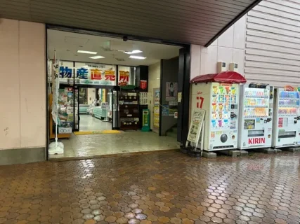 【体験レビュー】道の駅 YOU・遊・もりは“いかめし”だけじゃない!ソフトクリームや森町の魅力と絶景紅葉に感動