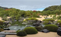 足立美術館で“生の掛軸”に感動！雨と晴れで味わえた秋の庭園の美しさを写真レビュー