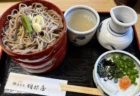 出雲そばの名店「羽根屋」は本当に並ぶ価値あり？混雑状況と皇室献上の味を徹底レビュー
