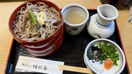 出雲そばの名店「羽根屋」は本当に並ぶ価値あり？混雑状況と皇室献上の味を徹底レビュー