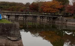 【体験レポ】五稜郭公園の紅葉に感動！タワーだけじゃない、歩いてわかった魅力と注意点