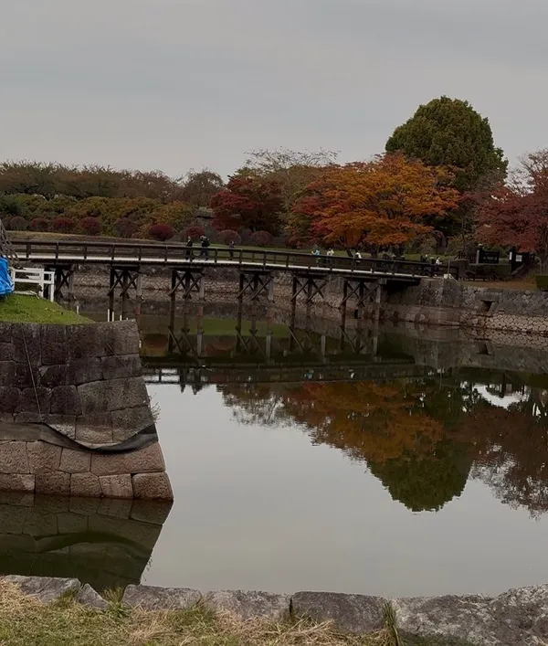 【体験レポ】五稜郭公園の紅葉に感動!タワーだけじゃない、歩いてわかった魅力と注意点
