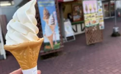 【蒜山高原SA 下り】名物ジャージーソフトは必食！高原の空気が気持ちいい立ち寄りスポットをレビュー