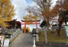 SNSで話題！函館・湯倉神社の見どころをレビュー！紅葉と”イカすおみくじ”が魅力のパワースポット