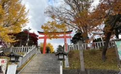 SNSで話題！函館・湯倉神社の見どころをレビュー！紅葉と”イカすおみくじ”が魅力のパワースポット