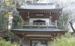 北鎌倉・浄智寺の見どころ。静寂と緑に癒される、大人の鎌倉散策体験記