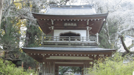 北鎌倉・浄智寺の見どころ。静寂と緑に癒される、大人の鎌倉散策体験記