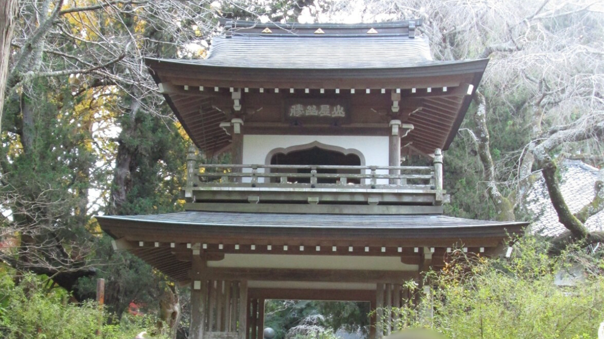 北鎌倉・浄智寺の見どころ。静寂と緑に癒される、大人の鎌倉散策体験記