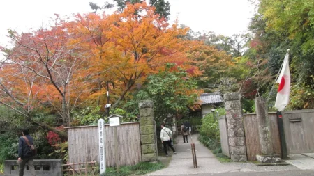 紅葉の明月院を徹底レビュー！「悟りの窓」30分待ちの価値は？混雑状況も解説