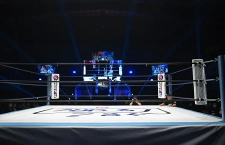 フワちゃん、なぜプロレスで活動復帰なのか?沈黙の1年3ヶ月、その選択の裏側