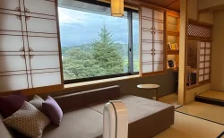 【さぎの湯荘 杜の館 桐】宿泊レビュー！書斎付き和モダン客室を写真多数で徹底解説