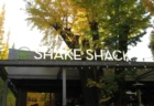 Shake Shack外苑いちょう並木店は本当に最高？黄金色の絶景と行列、注文のリアルを徹底レビュー