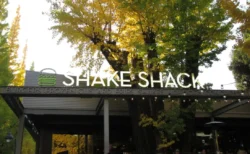 Shake Shack外苑いちょう並木店は本当に最高？黄金色の絶景と行列、注文のリアルを徹底レビュー