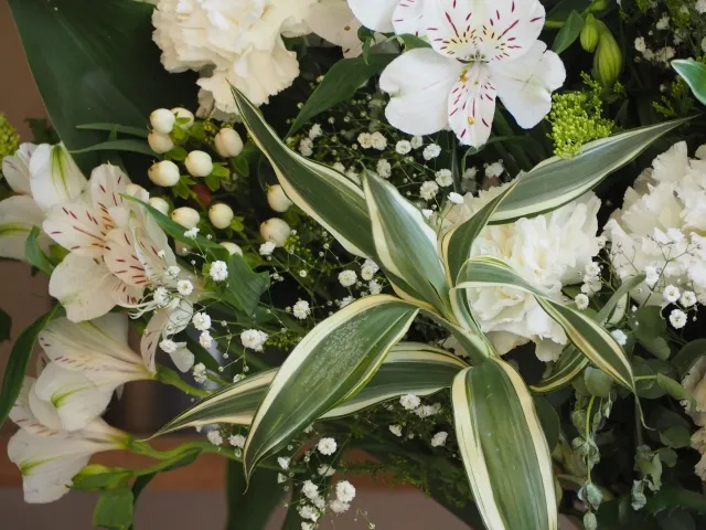 【尾道市立美術館】黒猫ケンちゃん天国へ旅立ち、「もう会えないなんて‥」警備員さんや飼い主さんとの思い出エピソード