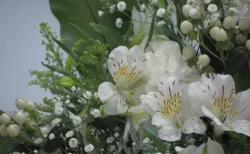 【訃報】モデル・永江りりさん「不慮の事故で急逝」 父親がSNSで報告