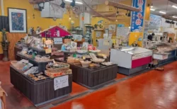 【体験レビュー】魚好きの楽園！山口「道の駅 潮彩市場防府」で新鮮グルメと絶景を満喫してきた