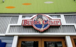 フォレスト・ガンプの世界へ！「ババ・ガンプ・シュリンプ東京」の魅力と楽しみ方を徹底解説