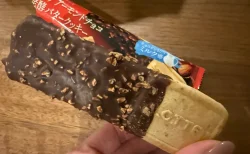話題のアイス「ガーナ チョコ＆クッキーサンド」を食べてみた！セブン限定の贅沢スイーツの正直な感想。
