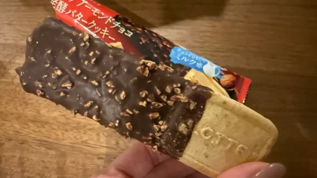 話題のアイス「ガーナ チョコ＆クッキーサンド」を食べてみた！セブン限定の贅沢スイーツの正直な感想。