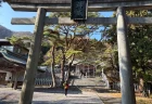 パワースポット「函館八幡宮」134段の石段を登って見えた絶景と今の姿